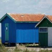 14141939_1801337380103751_1398408395882555444_n