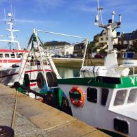 Les bateaux de pêche